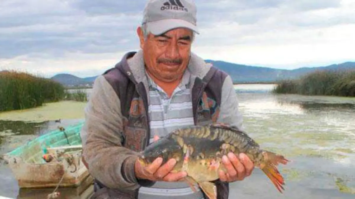 pesca