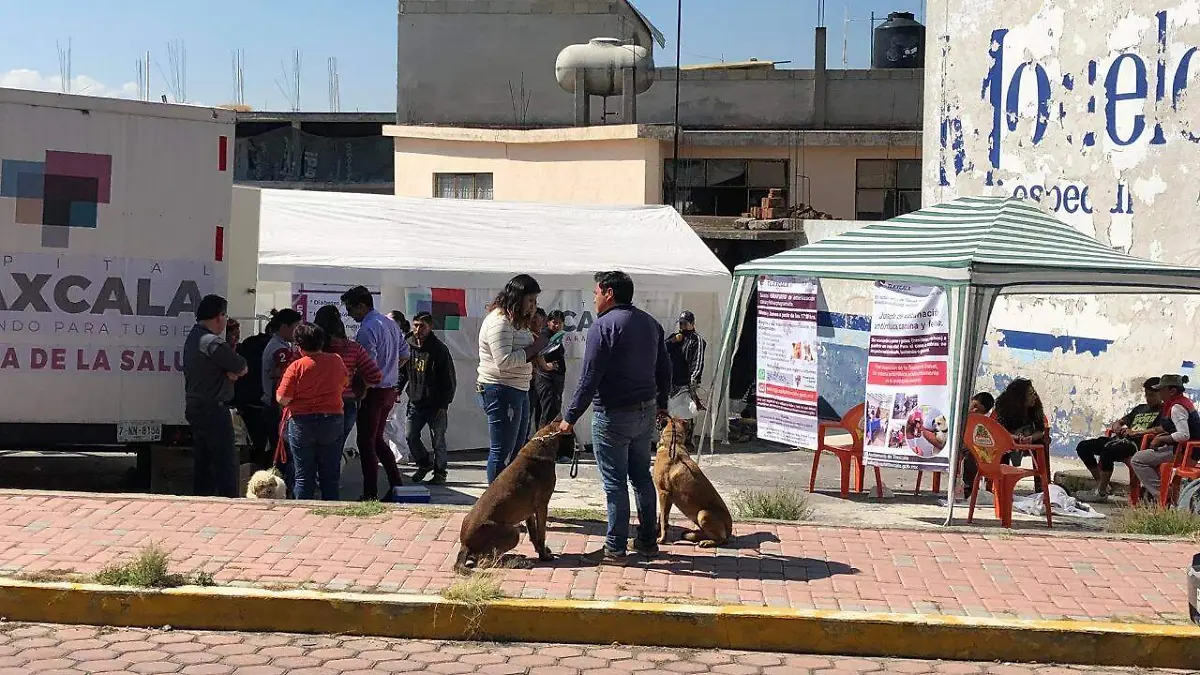 Refuerzan campaña 2