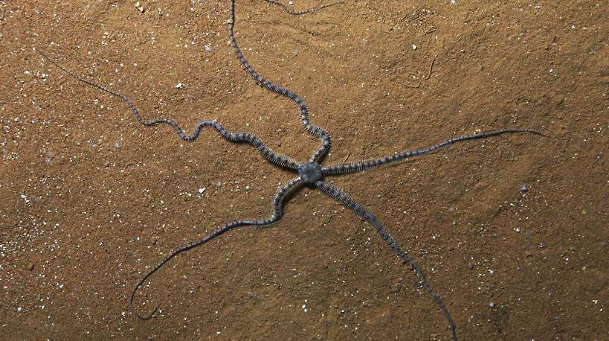 WhatsApp Image 2020-08-28 at 2.07.33 PM