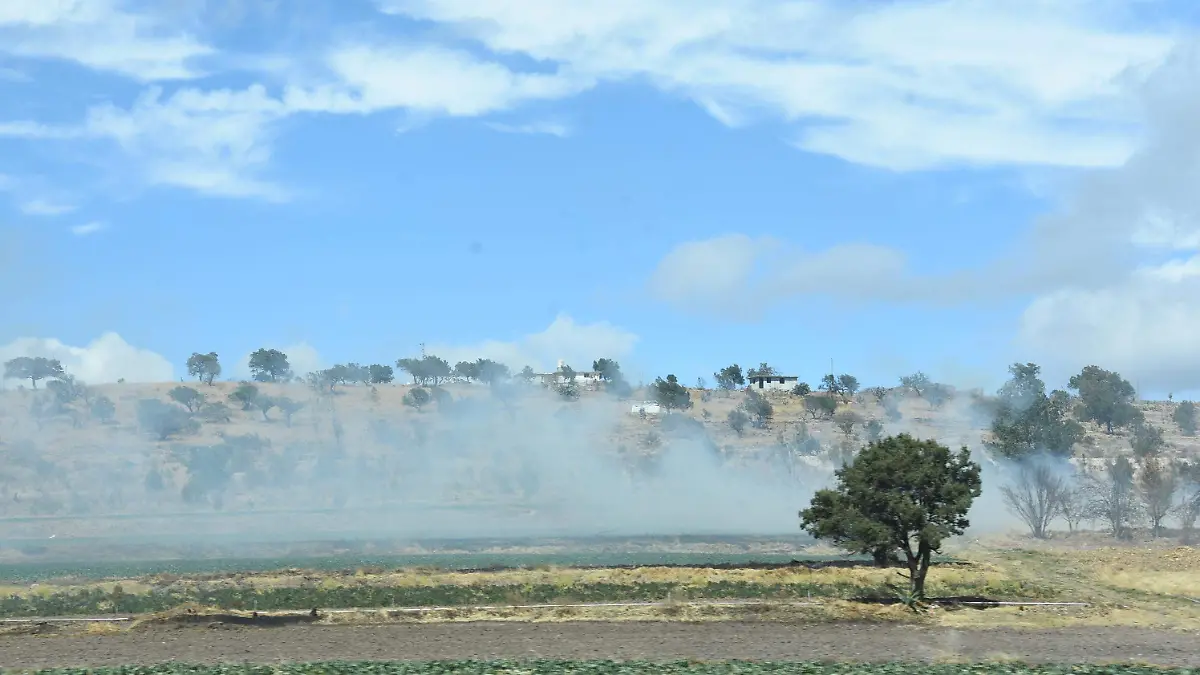 INCENDIO (1)