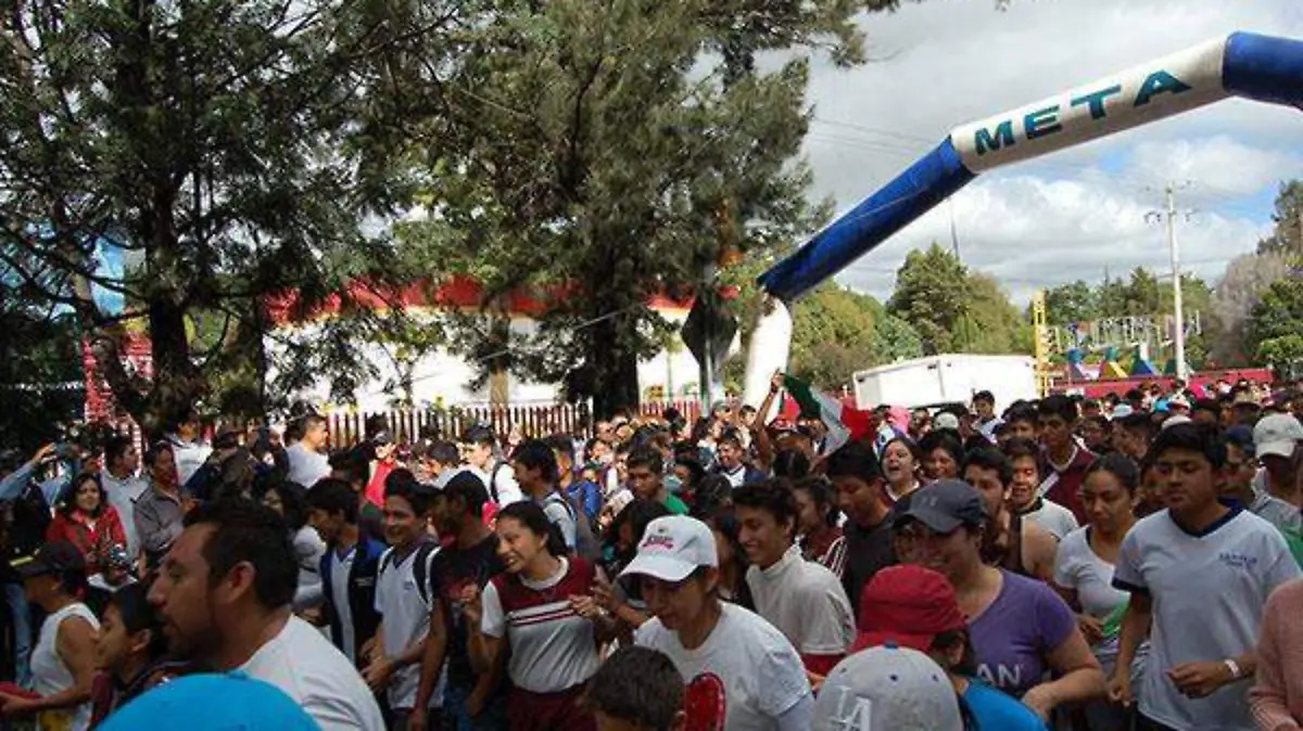 1-AMPLIA-1