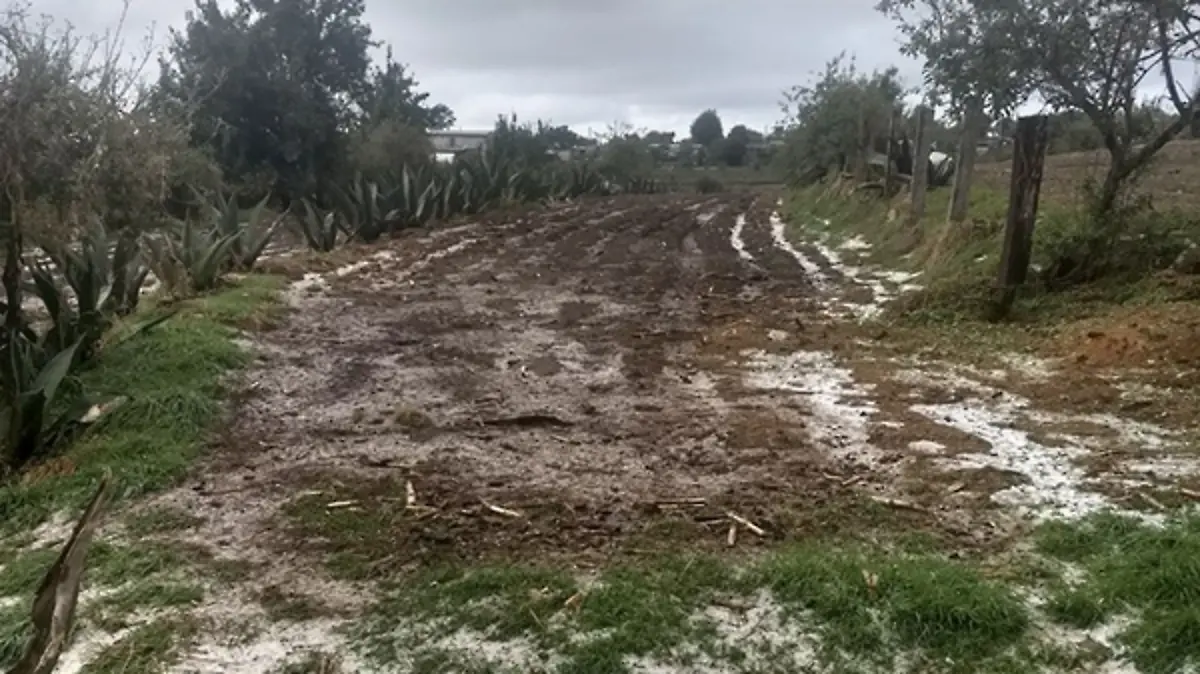 La-granizada-3