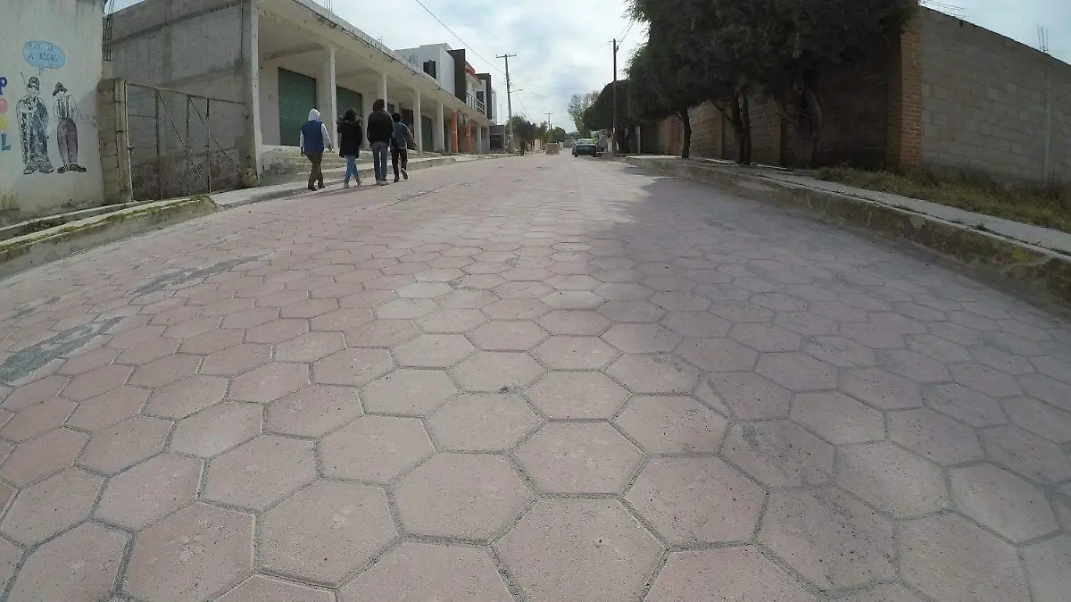coaxomulco  (1)