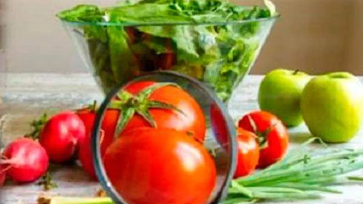 alimentos