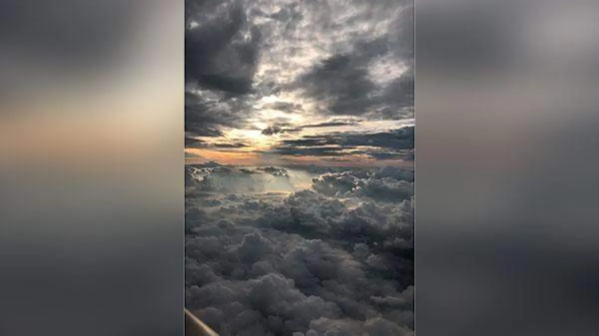 WhatsApp-Image-2019-02-09-at-3.35