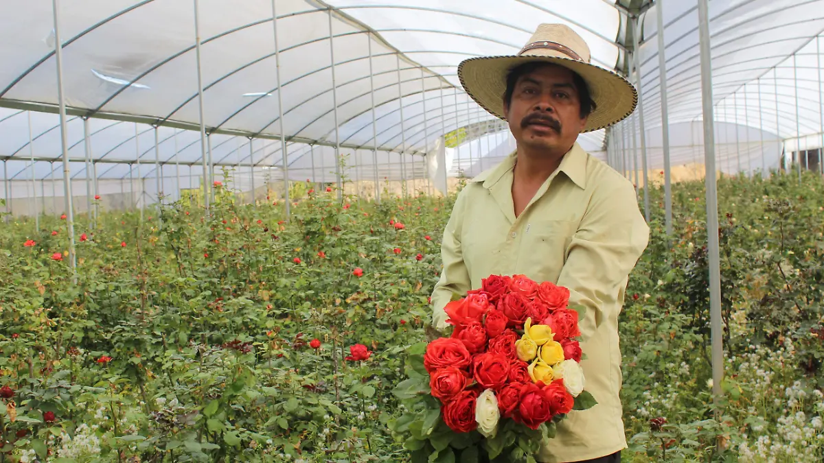 ROSAS 2