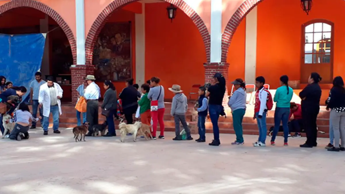 CAMPAÑA-(3)