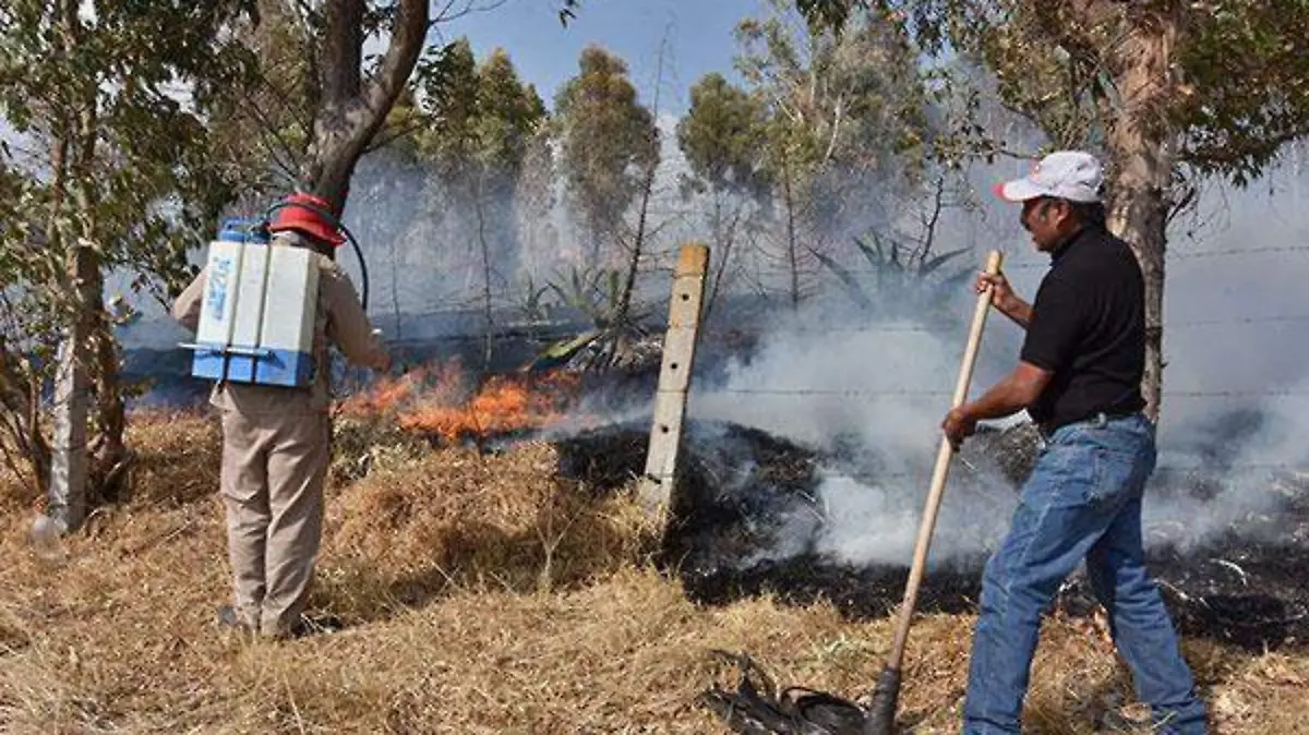 INCENDIOS-(3)