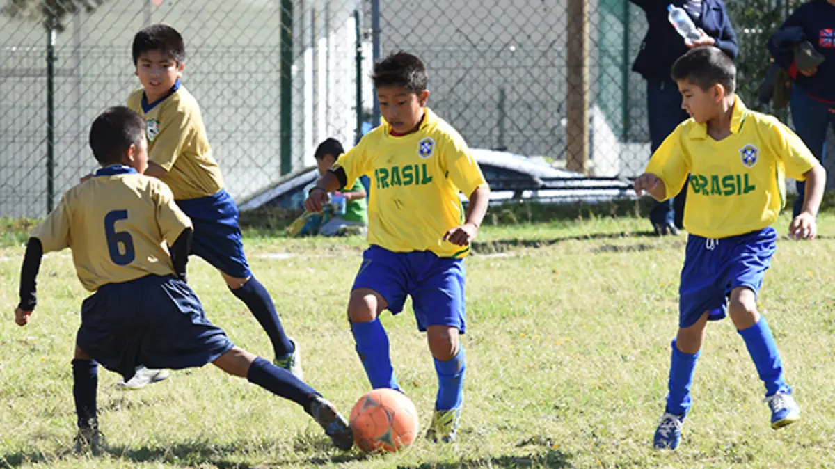 4-ACCIONES-2