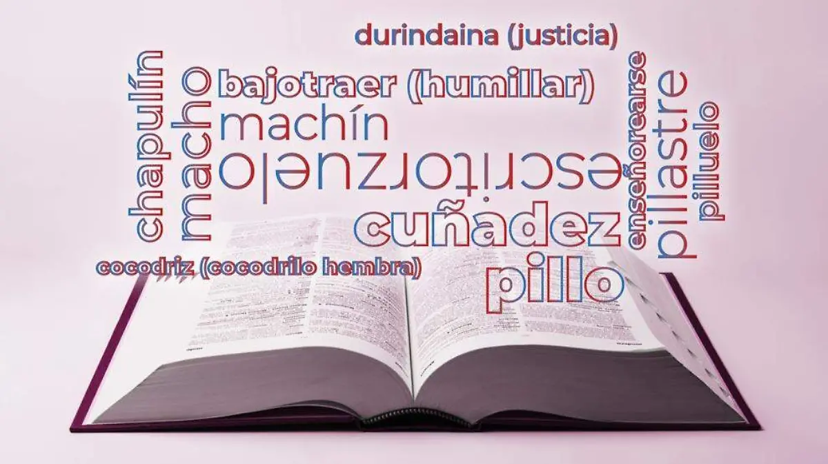 DICCIONARIO