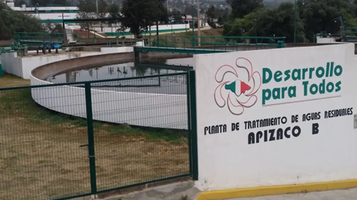 LAS-PLANTAS