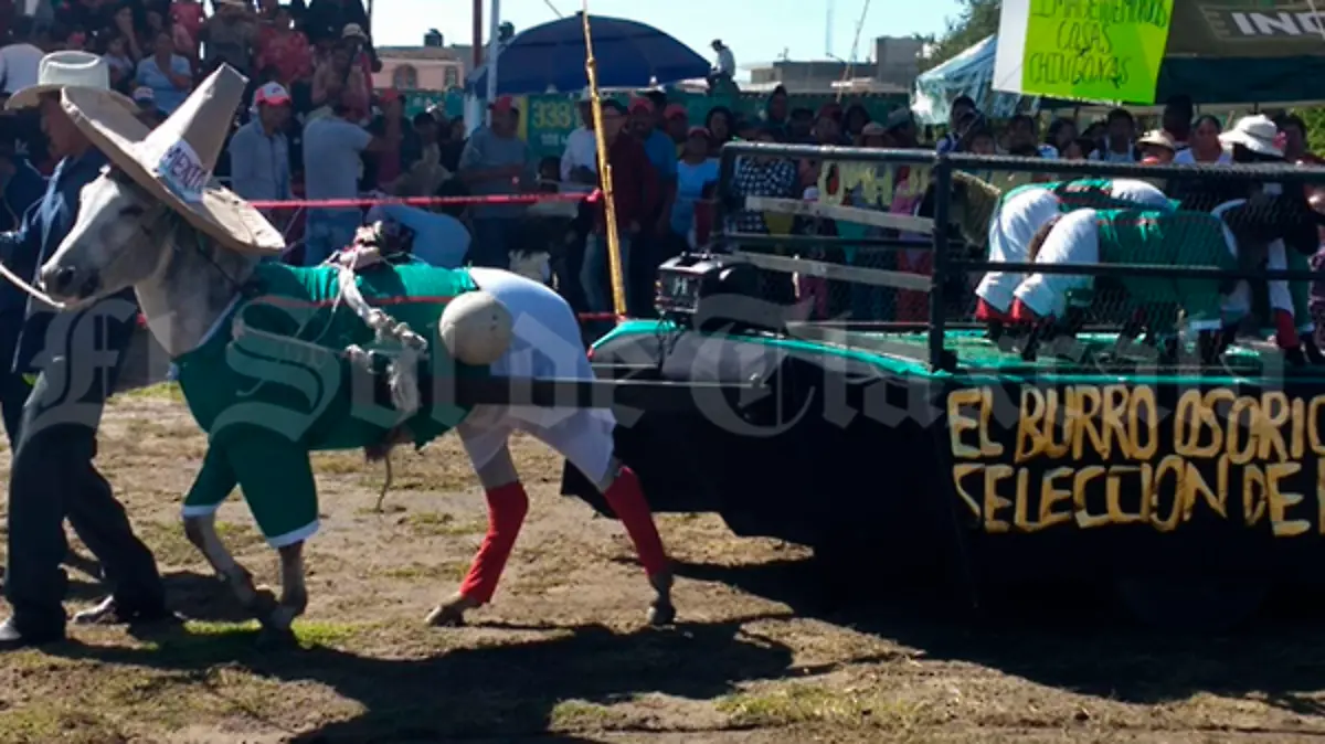 burro-1