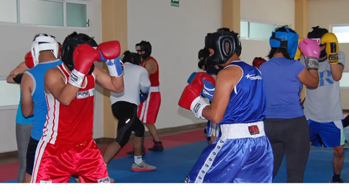 BOXEADORES