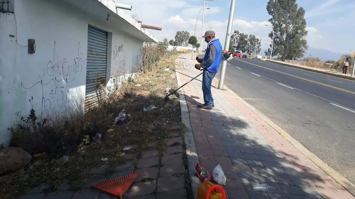 En el municipio
