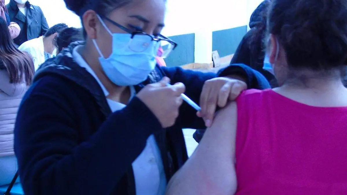 21112020_BOLETÍN_SESA_02