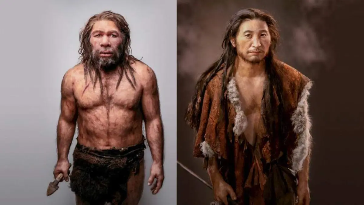homo-sapiens-vs-neandertal-1024x553