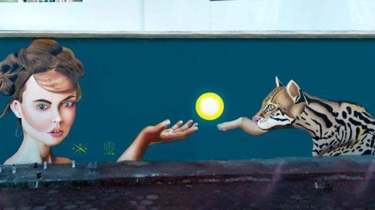 Graf-3