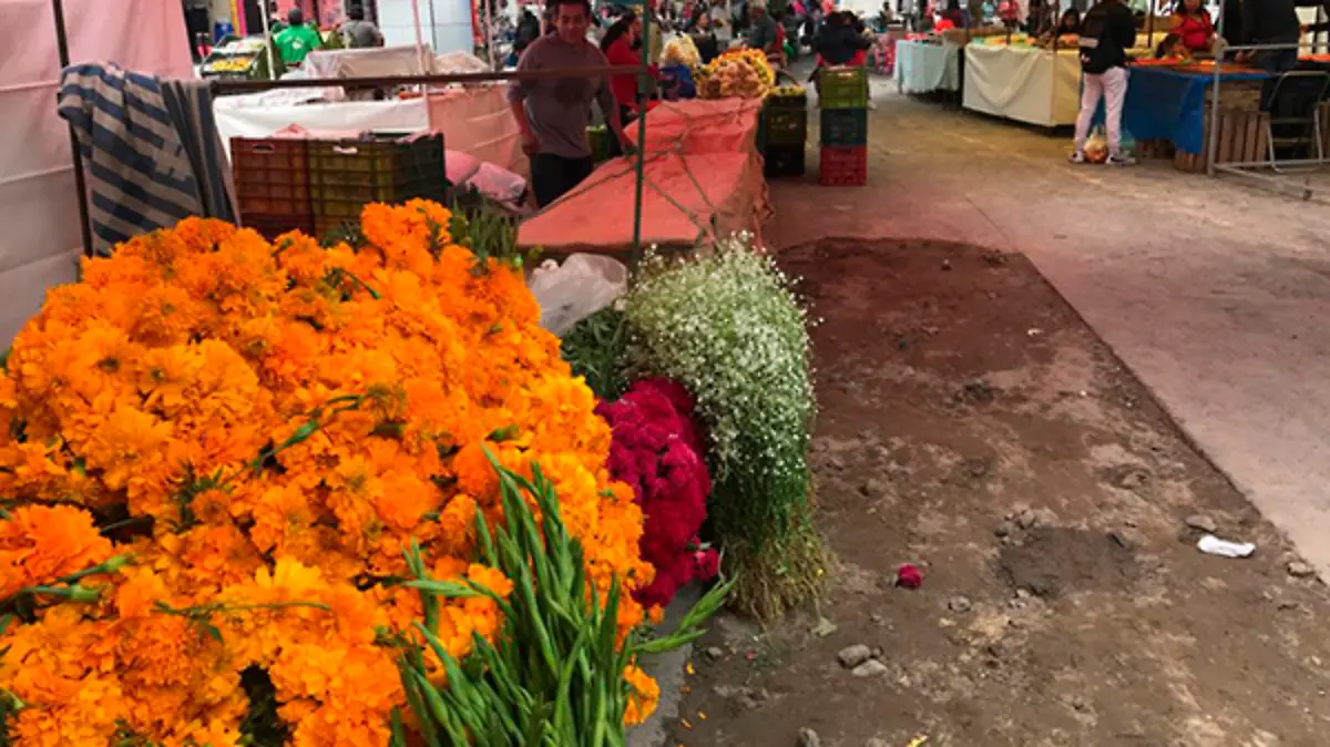 Tianguis-3
