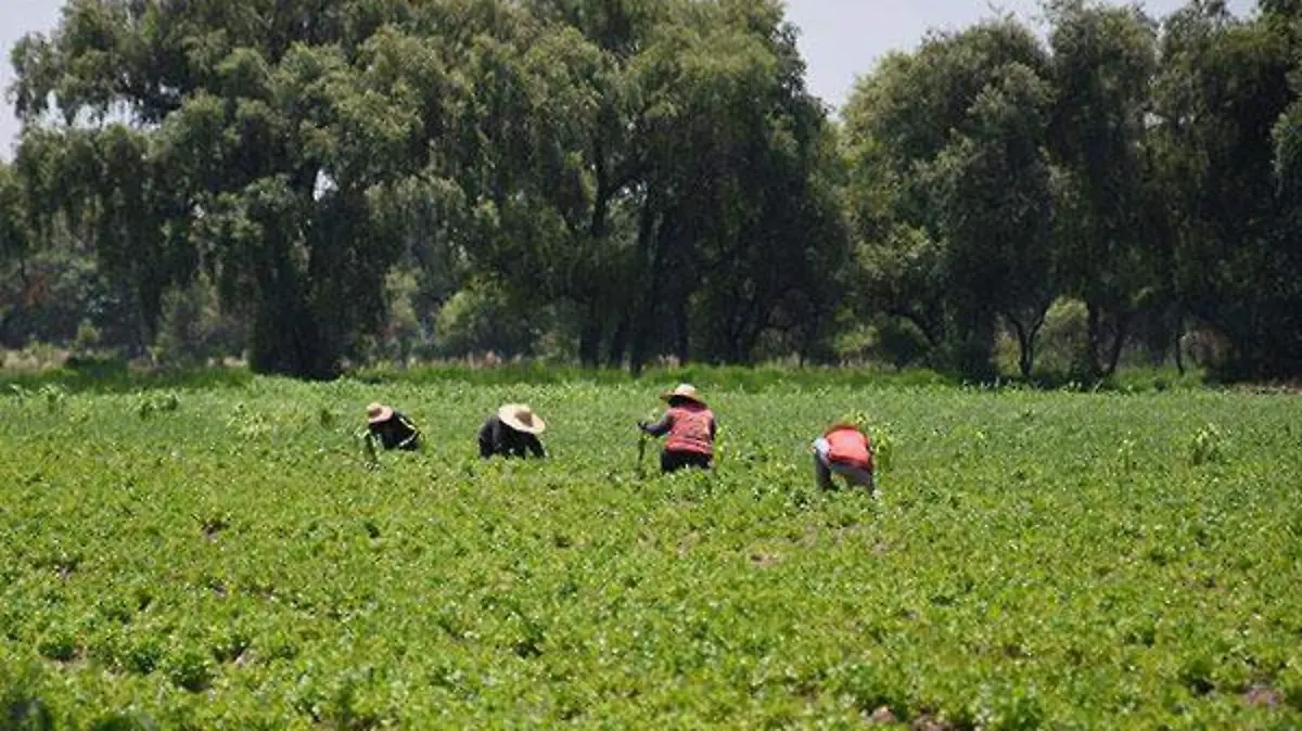TRABAJADORES-CAMPO-(3)