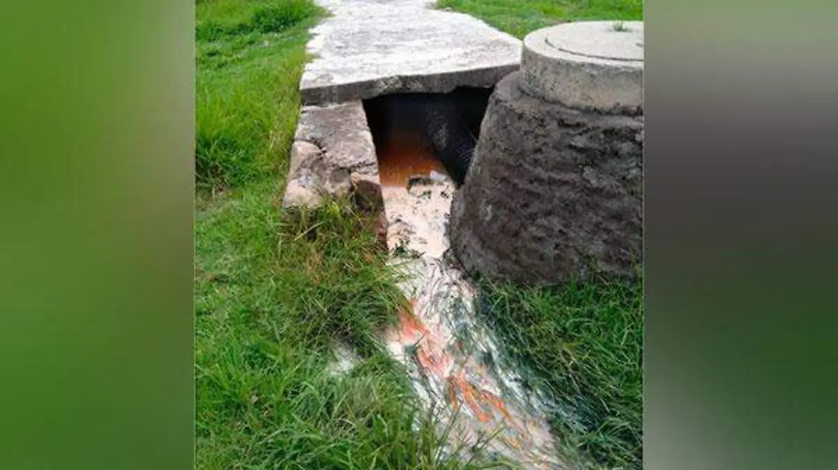 GetImageContent4HQI9E35