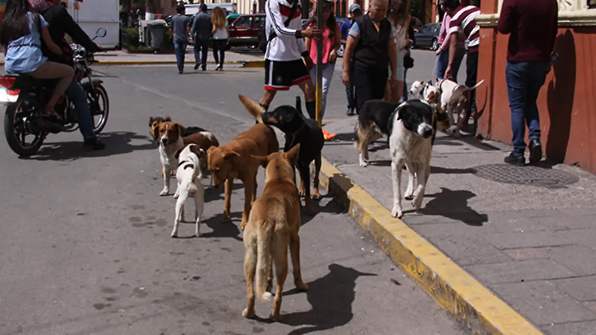 EN-EL-PUEBLO-1