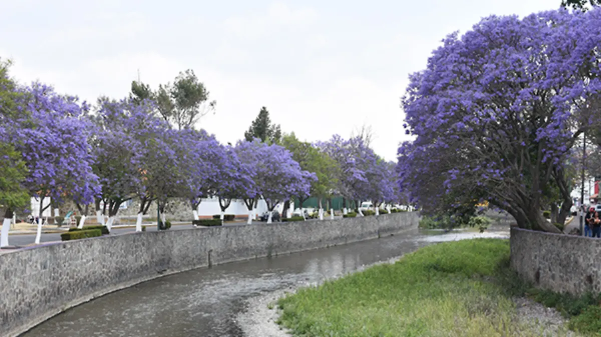 RÍO-ZAHUAPAN-(2)
