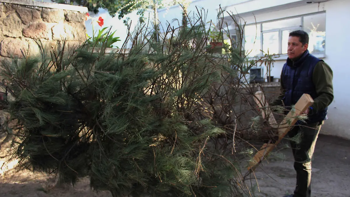 190104_CGE_ACOPIO_ARBOLES_NAVIDAD_02
