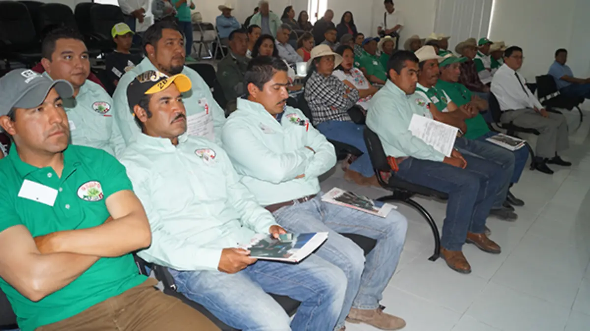 Recolectores-1