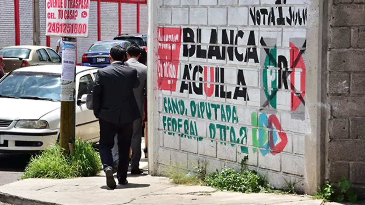 Basura-Electoral-(2)