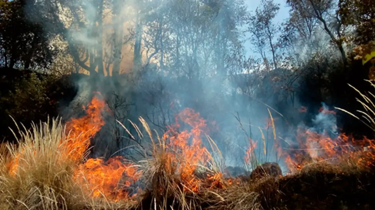 INCENDIO-2