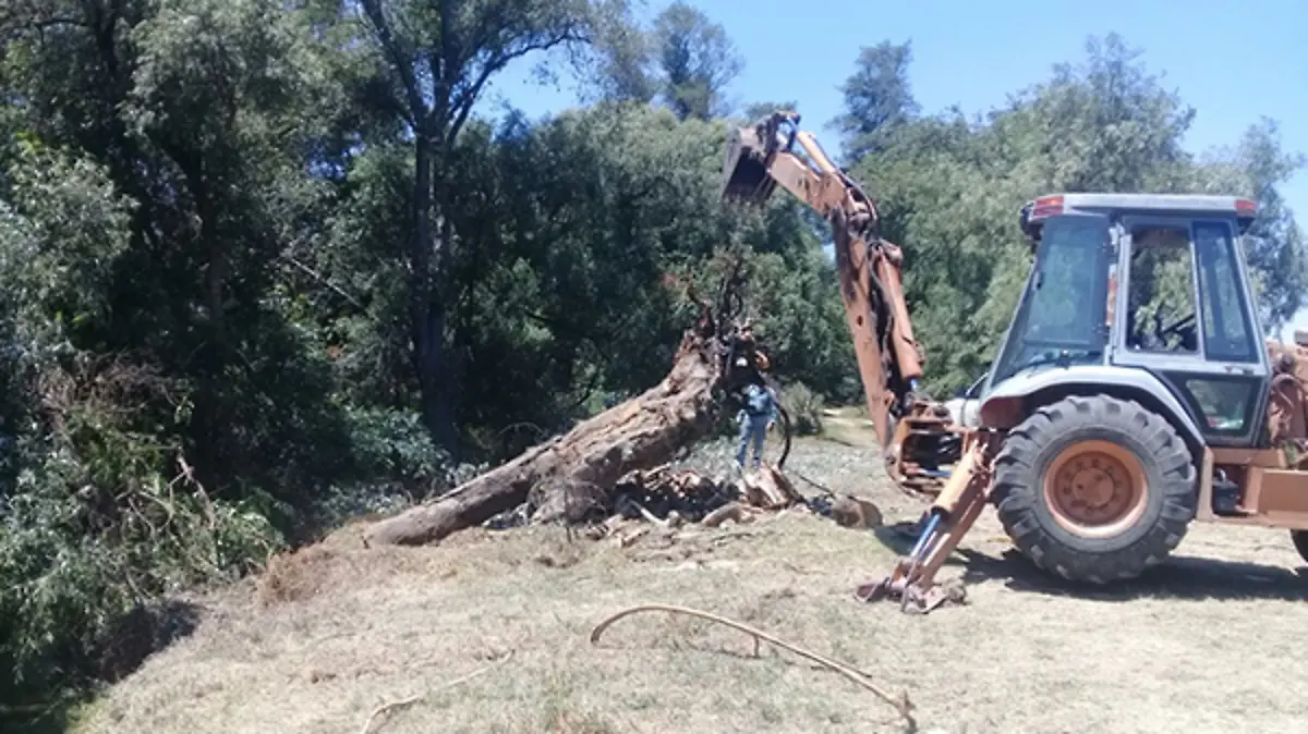 Los-trabajos
