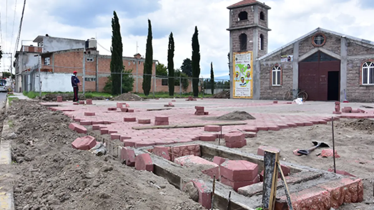 Árboles-Derribados-Santuario--(1)