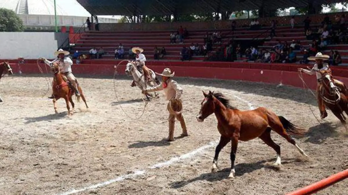 SUERTES-2