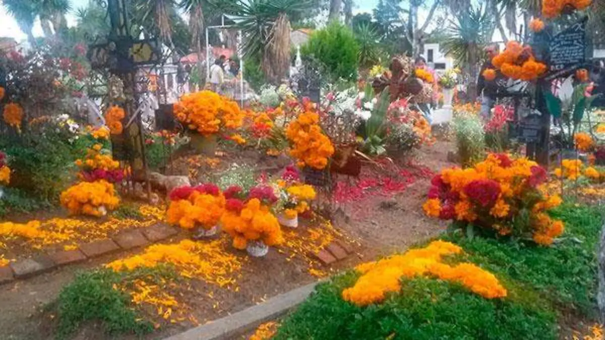 2-de-nov