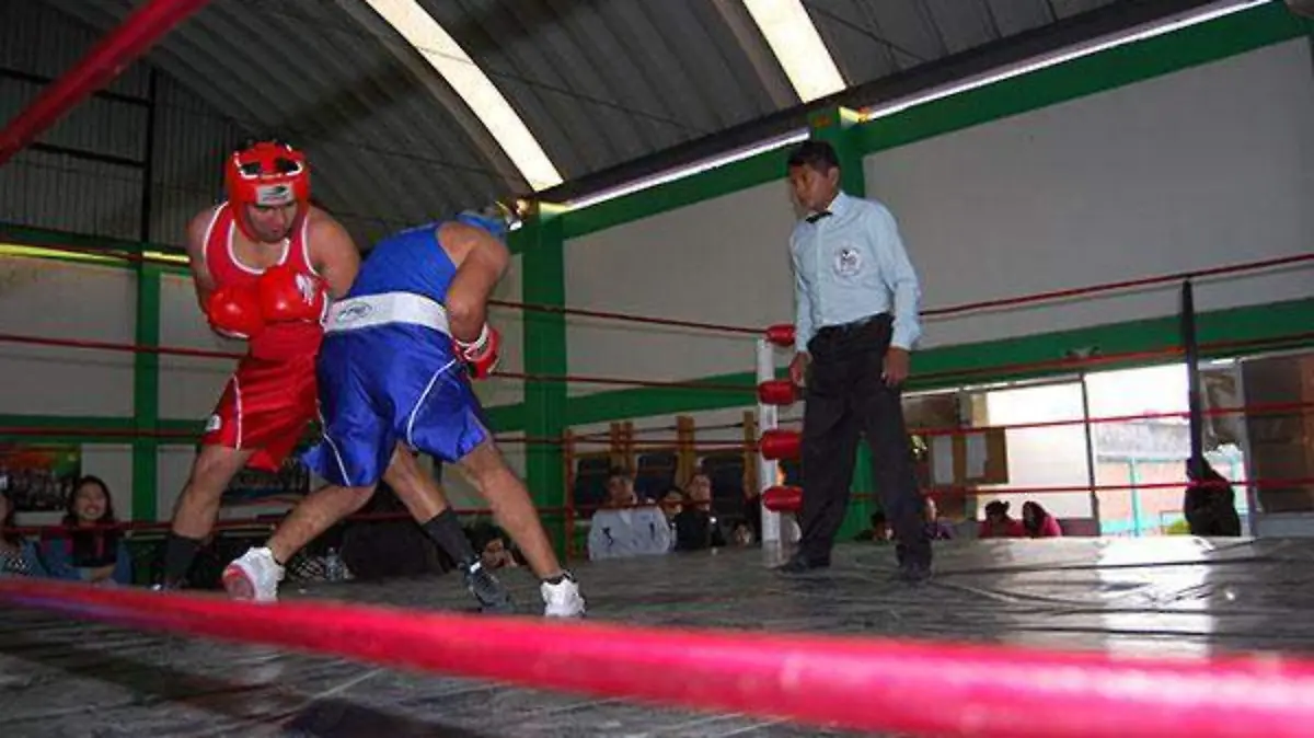 3-EL-REFERI-2