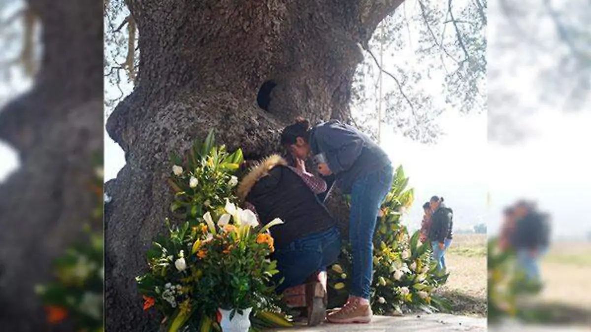 Familias-3