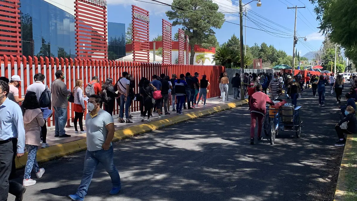 vacunación