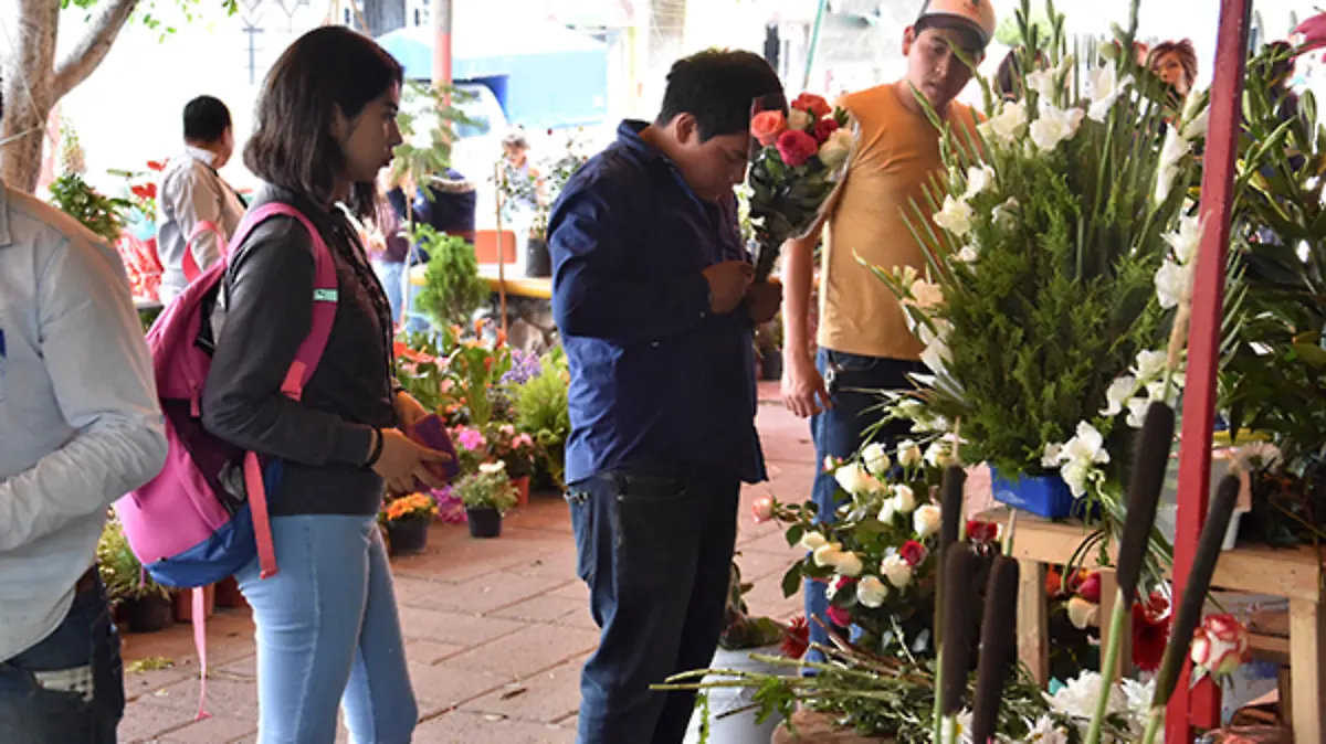 Flores--(3)
