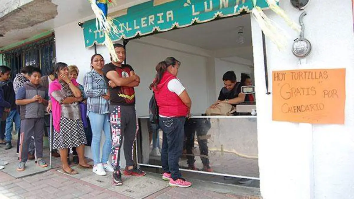 CARTULINAS