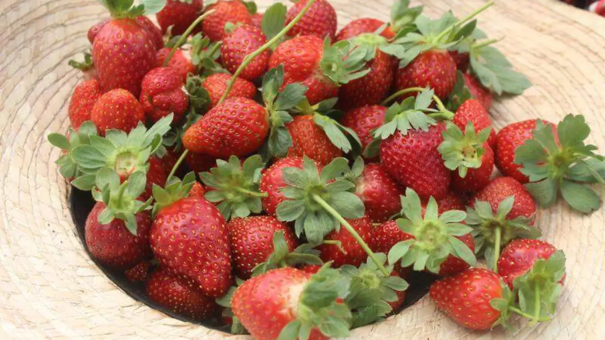 GetImageConent[5]