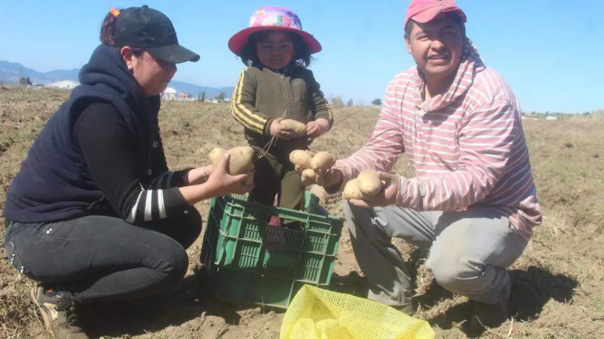 GetImageContentL1Q59PRG