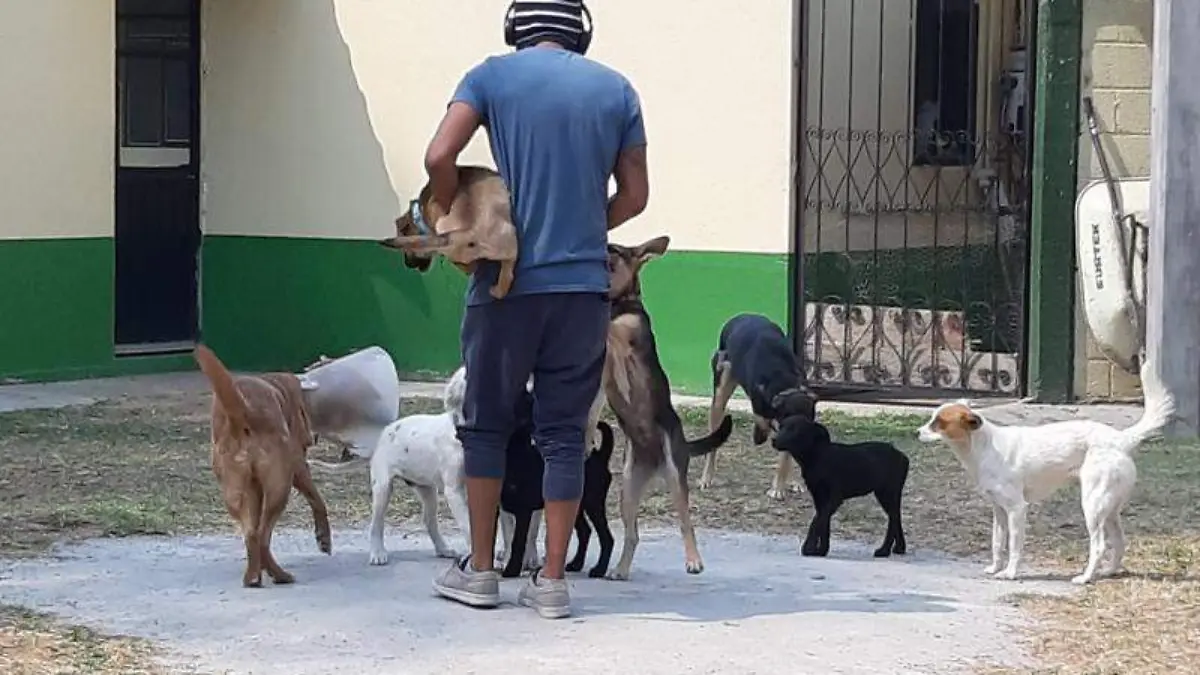 GetImaeContent[9]