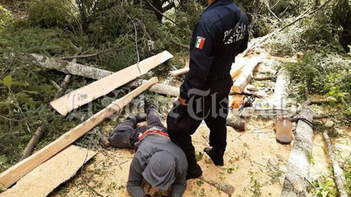 detenido-2