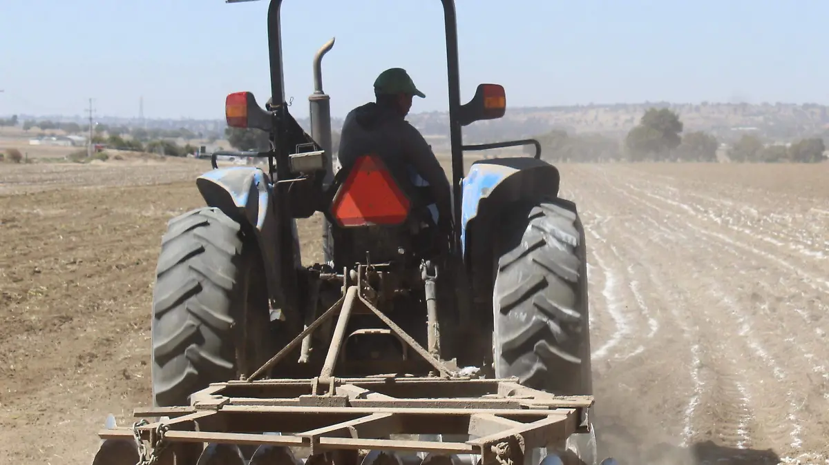 SIEMBRA EN HUAMANTLA
