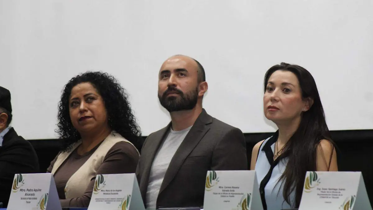 Reforestación PN2