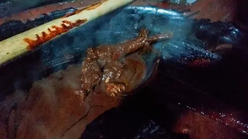 MOLE (3)