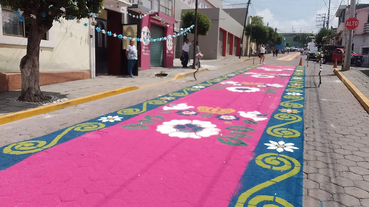 Alfombra para la Virgen de Ocotlán