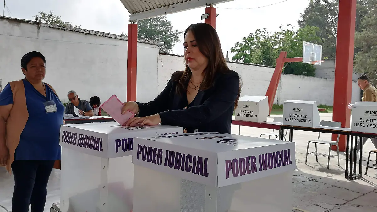 Elección presidenta TSJE (3)