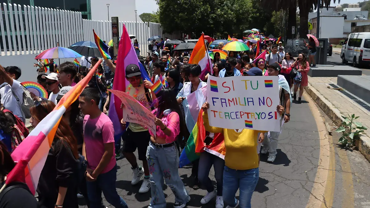 MARCHA LGBT 