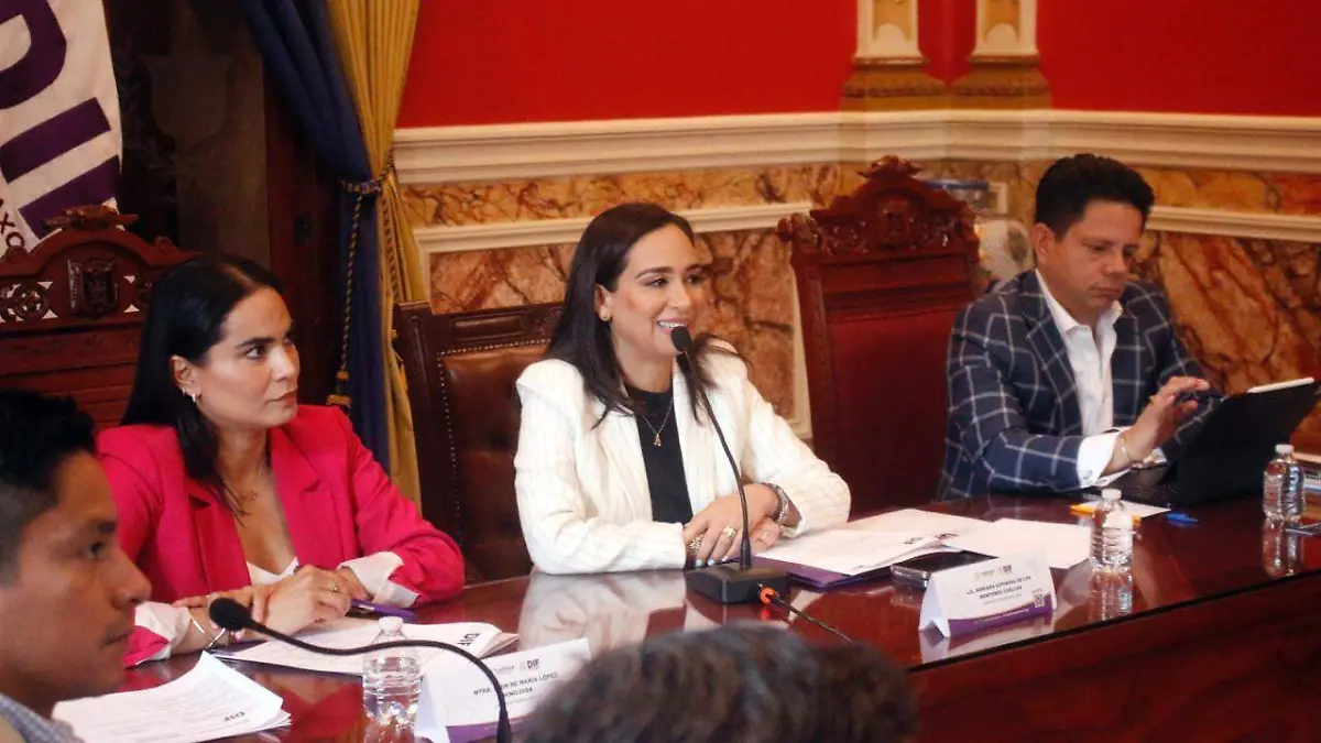 Sedif discapacidad2